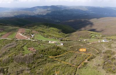 Truall 80 Ari për #SHITJE në Zllash të Prishtinës