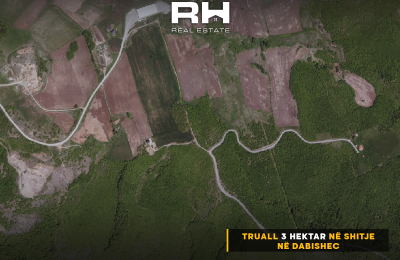 Truall 3 Ha në SHITJE në Dabishec