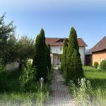 Ringa (Shitet Shtepia rr.Naim Beka)394/23