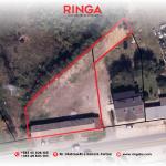 Ringa (Ipet Pllaci me Qera në Bibaj)119/23